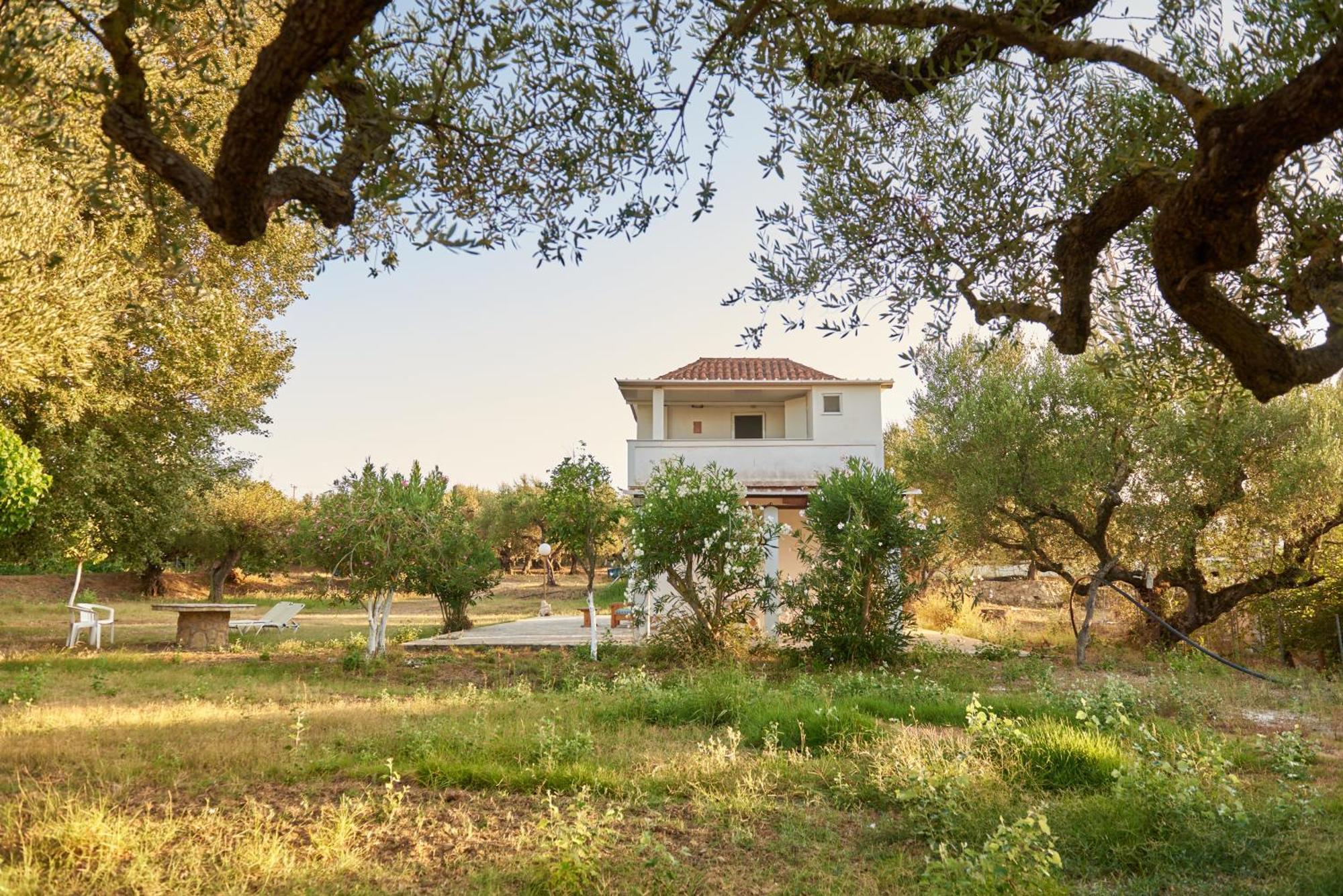 Villa Rania / Zante Drosia Kypseli Exterior photo